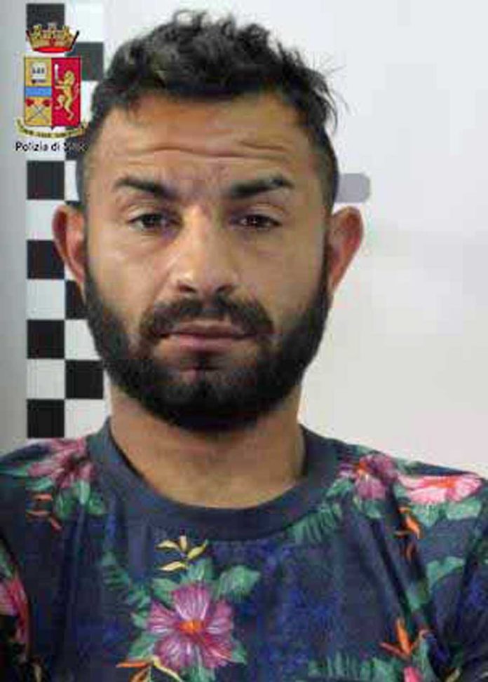 ZAMFIRACHE-Suraj-Petru