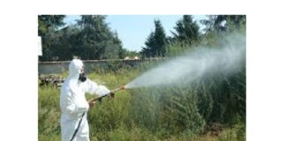 Proseguono, gli interventi di scerbatura affidati dall’Amministrazione Comunale alla Messinaservizi Bene Comune