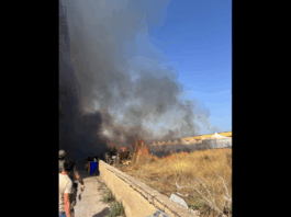 Nel pomeriggio del 24 luglio 2025, una pattuglia dell’Esercito Italiano, in servizio ad Agrigento nell’ambito dell’Operazione “Strade Sicure”, durante un’attività di pattugliamento in Viale Cannatello, nel cuore del centro abitato, notata una densa colonna di fumo proveniente da una zona adiacente ad un edificio adibito a dimora per migranti, nel quartiere Villaggio Mosè, è intervenuta facendo evacuare l’area